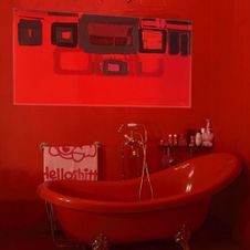 `Wallpaper`in private bathroom